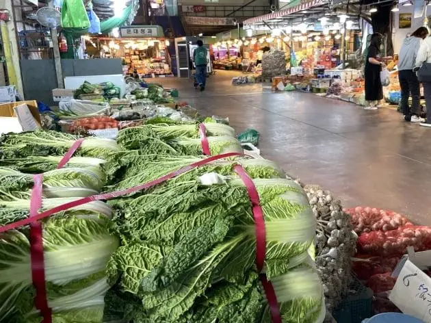 冬季必备：白菜炖豆腐与醋溜白菜，暖胃暖心又营养
