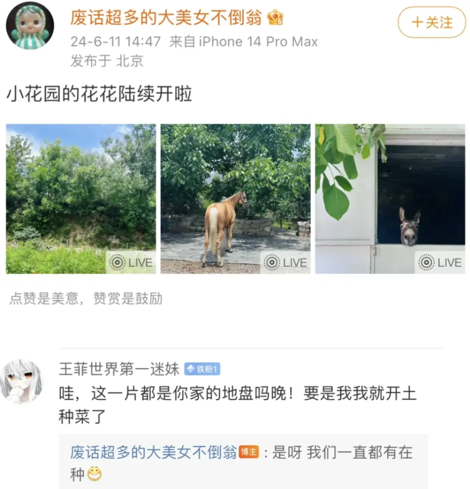 网红晚晚林瀚夫妇别墅真相揭秘：租住豪宅长期拖欠房租引热议  第2张
