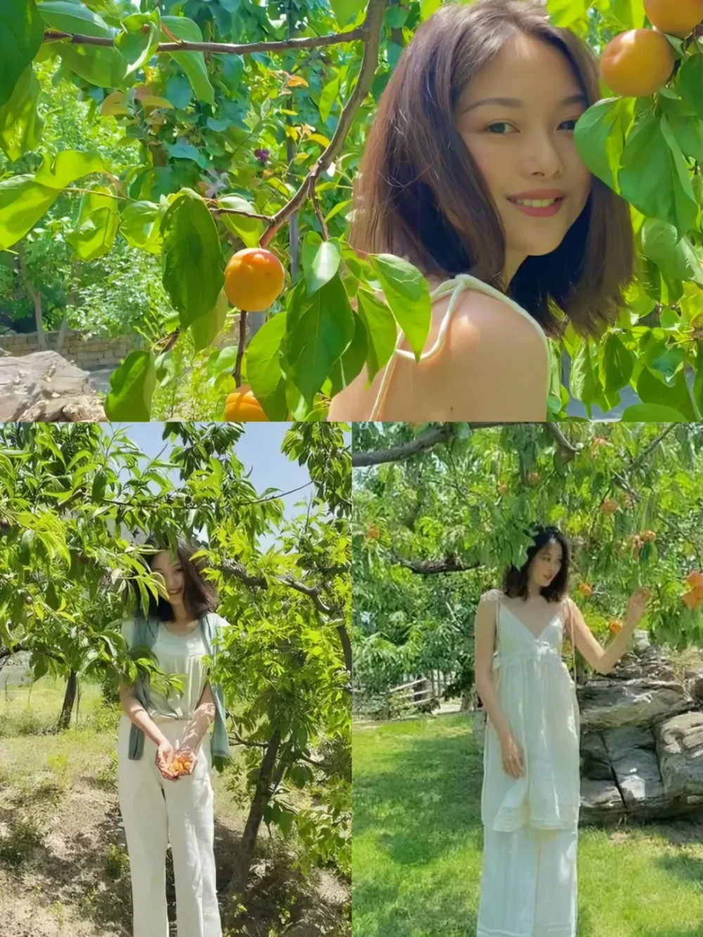 网红晚晚林瀚夫妇别墅真相揭秘：租住豪宅长期拖欠房租引热议  第3张