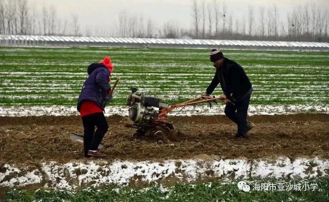 唐代戴叔伦小雪诗赏析：隔与不隔中的情志及小雪谚语  第1张