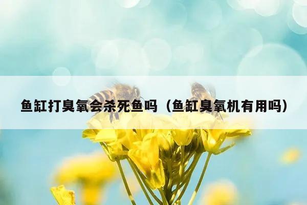 鱼缸打臭氧会杀死鱼吗？专业水族臭氧消毒器使用指南  第1张