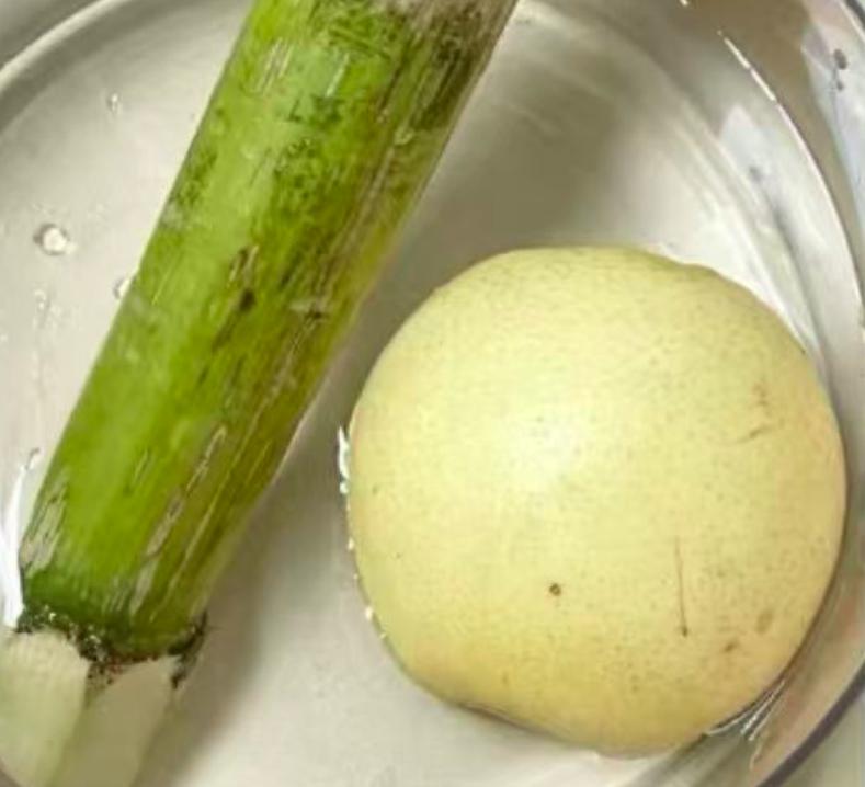 冬天润燥润肺必备：甘蔗梨水家常做法，温暖全家  第2张