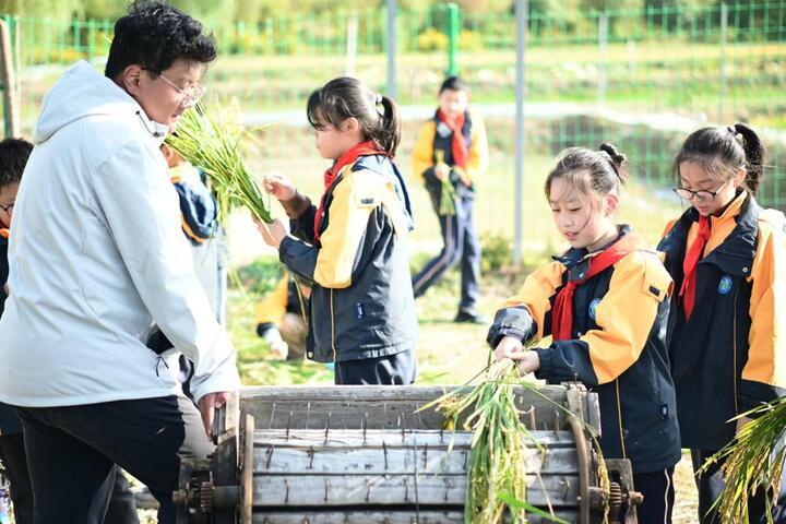 金秋十一月稻香四溢，南京浦口侯冲景区亲子农耕体验活动邀您共度丰收季  第3张