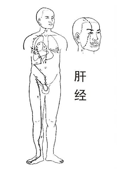 中医视角：阳亢体质易长结节，专家支招预防与减少结节出现  第2张