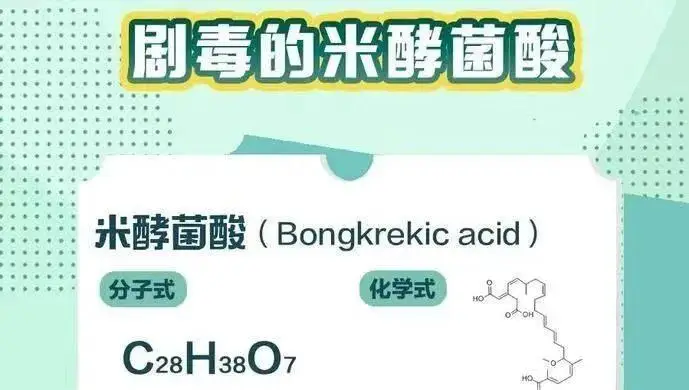 揭秘黑木耳中毒死亡事件：米酵菌酸的危害与预防措施  第1张