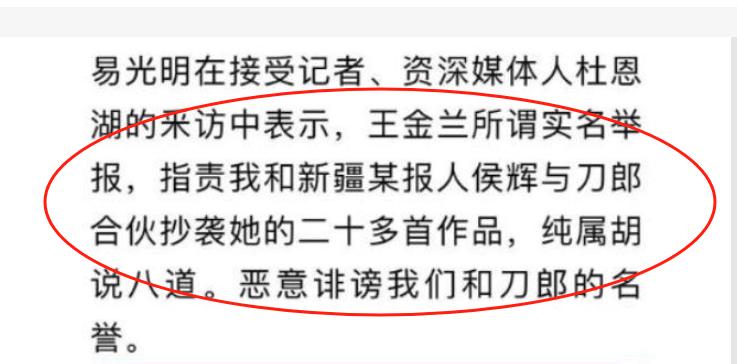 揭秘王金兰指控刀郎抄袭背后的真相与娱乐圈的复杂布局  第13张
