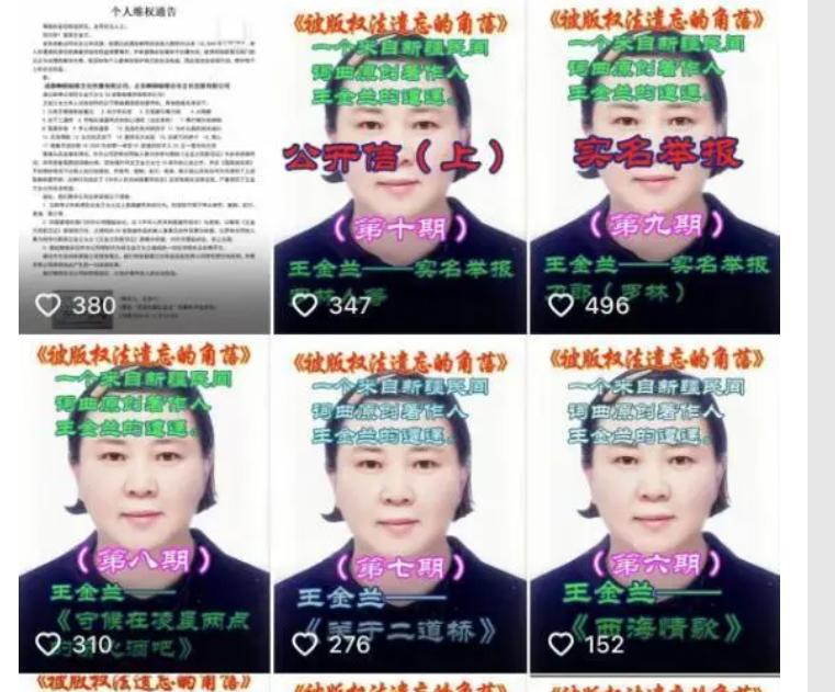 揭秘王金兰指控刀郎抄袭背后的真相与娱乐圈的复杂布局  第3张
