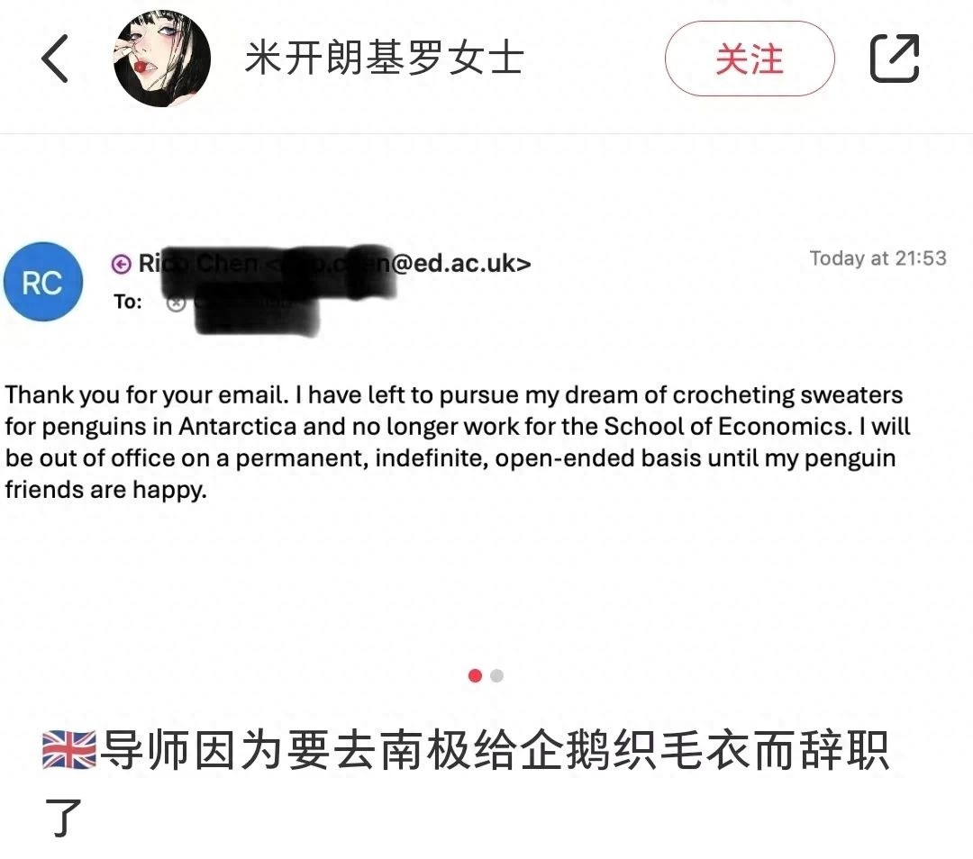 英国留学生小红书爆火，导师辞职追梦南极企鹅毛衣  第1张