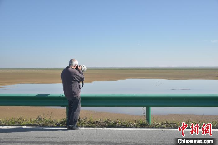 鄱阳湖畔藕遇：白鹤小镇观鸟胜地，候鸟翔集湿地治愈之旅  第2张