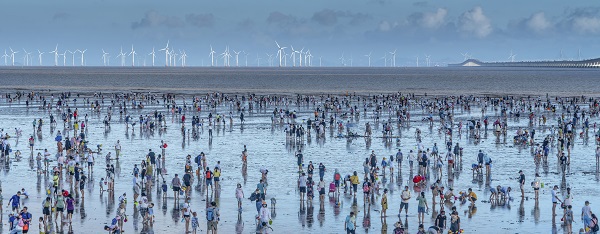 2024年第二届上海旅行摄影大赛揭幕，百幅作品展现城市多元之美  第5张