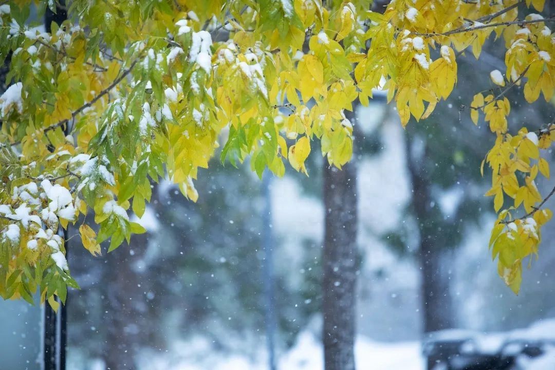 全国大部晴朗干燥天气持续，东北地区需防降雪影响及新冷空气来袭  第1张